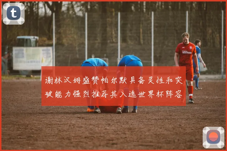 谢林汉姆盛赞帕尔默具备灵性和突破能力强烈推荐其入选世界杯阵容